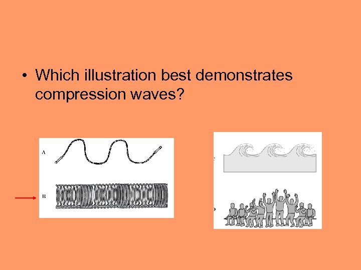  • Which illustration best demonstrates compression waves? 