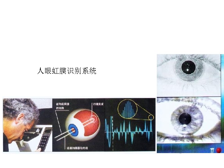 人眼虹膜识别系统 