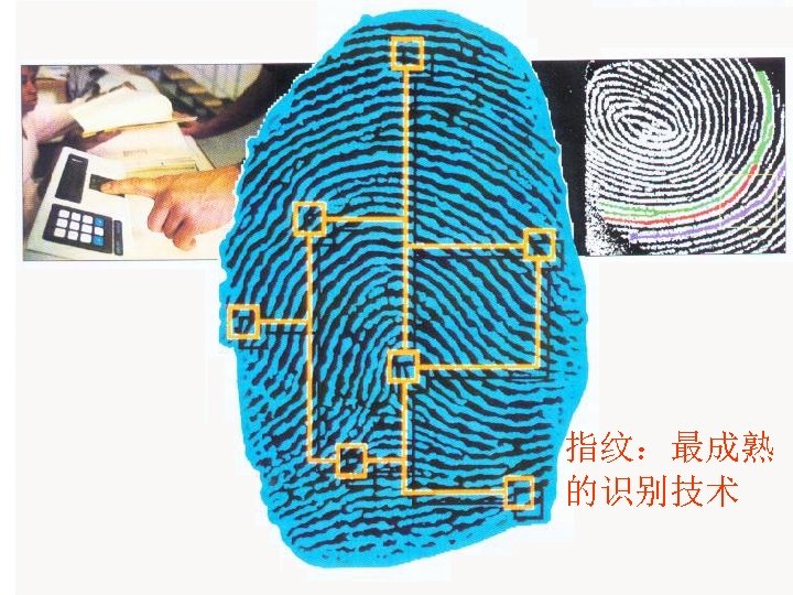 指纹：最成熟 的识别技术 