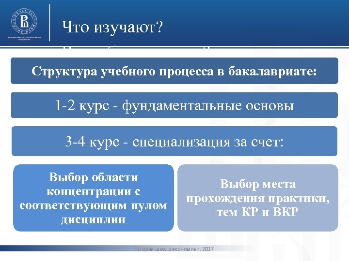 Что изучают? Что я буду изучать? Структура учебного процесса в бакалавриате: фото Что я