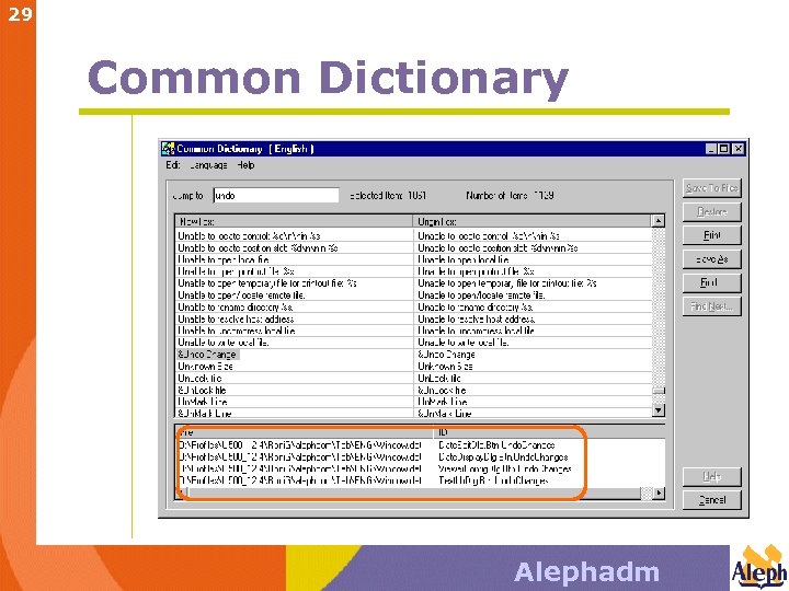 29 Common Dictionary Alephadm 