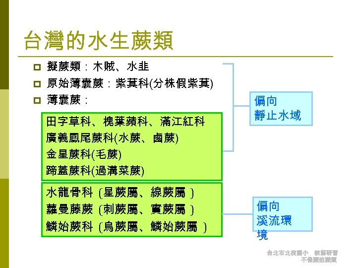 台灣的水生蕨類 p p p 擬蕨類：木賊、水韭 原始薄囊蕨：紫萁科(分株假紫萁) 薄囊蕨： 田字草科、槐葉蘋科、滿江紅科 廣義鳳尾蕨科(水蕨、鹵蕨) 金星蕨科(毛蕨) 蹄蓋蕨科(過溝菜蕨) 水龍骨科 (星蕨屬、線蕨屬 )