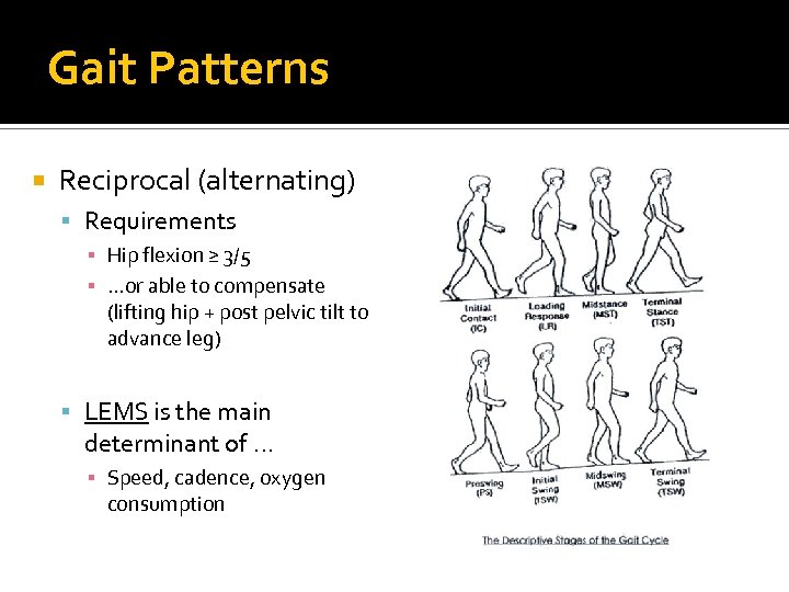 Gait Patterns Reciprocal (alternating) Requirements ▪ Hip flexion ≥ 3/5 ▪ …or able to