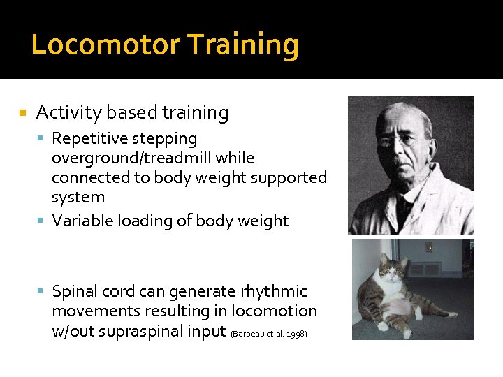 Locomotor Training Activity based training Repetitive stepping overground/treadmill while connected to body weight supported