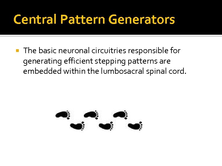 Central Pattern Generators The basic neuronal circuitries responsible for generating efficient stepping patterns are