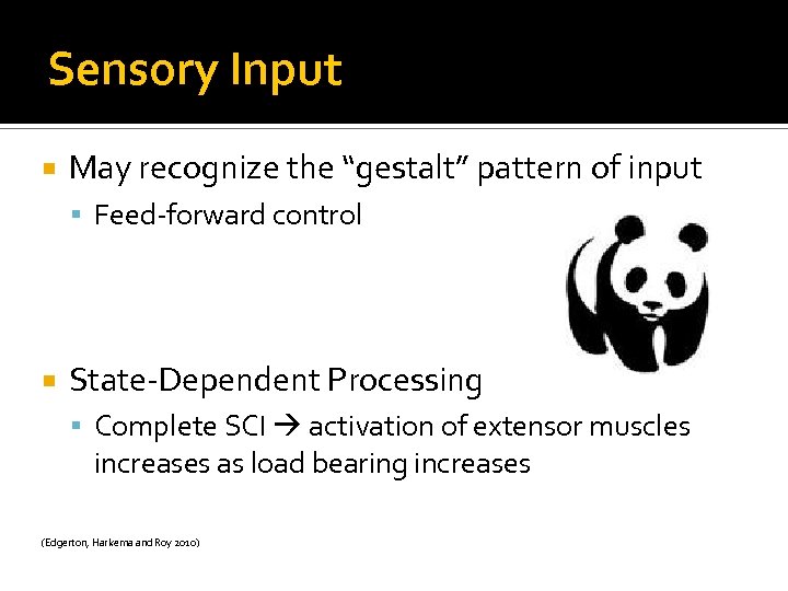 Sensory Input May recognize the “gestalt” pattern of input Feed-forward control State-Dependent Processing Complete