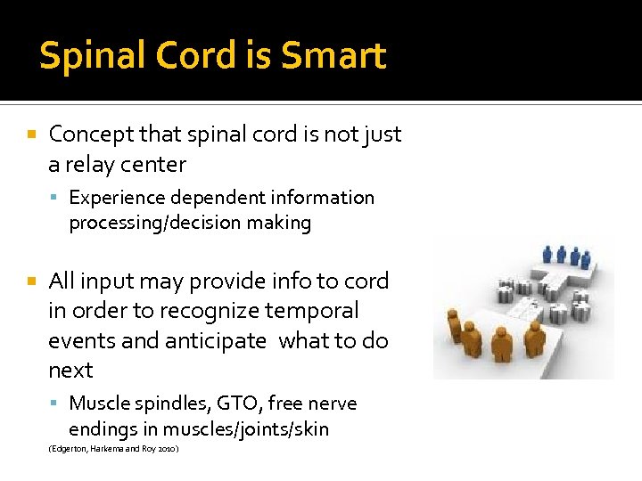 Spinal Cord is Smart Concept that spinal cord is not just a relay center