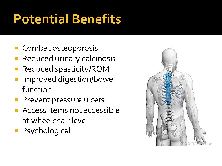 Potential Benefits Combat osteoporosis Reduced urinary calcinosis Reduced spasticity/ROM Improved digestion/bowel function Prevent pressure