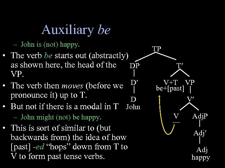 Auxiliary be – John is (not) happy. • The verb be starts out (abstractly)