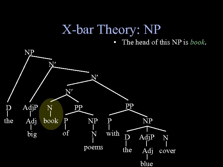 X-bar Theory: NP • The head of this NP is book. NP N N