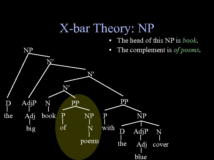 X-bar Theory: NP • The head of this NP is book. • The complement