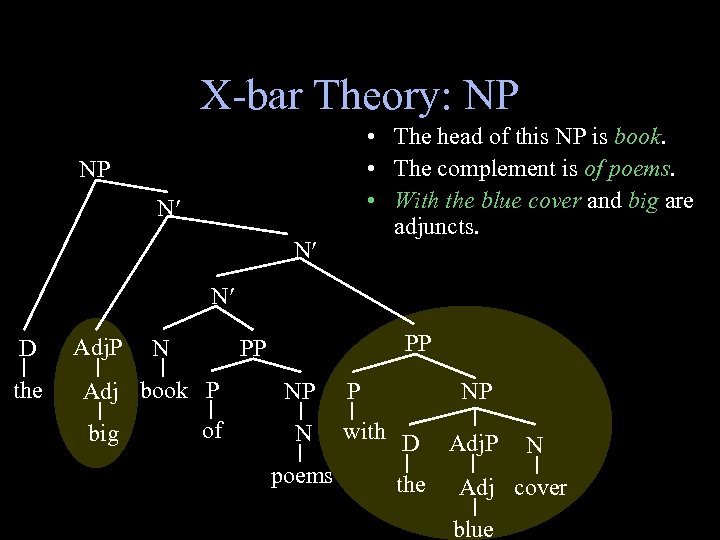 X-bar Theory: NP • The head of this NP is book. • The complement