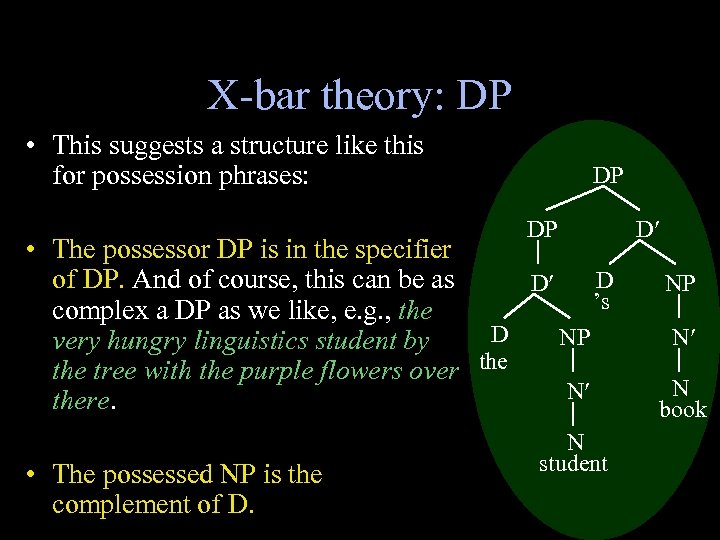 X-bar theory: DP • This suggests a structure like this for possession phrases: DP