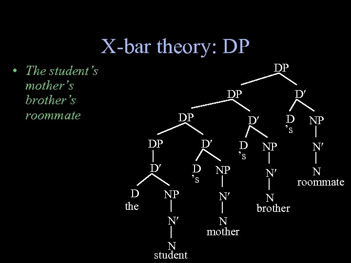 X-bar theory: DP DP • The student’s mother’s brother’s roommate DP DP DP D