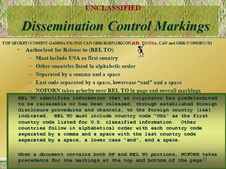 UNCLASSIFIED Dissemination Control Markings TOP SECRET//COMINT-GAMMA/TK//FGI CAN GBR//RSEN, ORCON, REL TO USA, CAN and