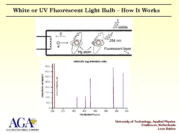 White or UV Fluorescent Light Bulb – How It Works University of Technology, Applied