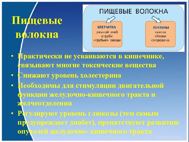 Пищевые волокна • Практически не усваиваются в кишечнике, связывают многие токсические вещества • Снижают