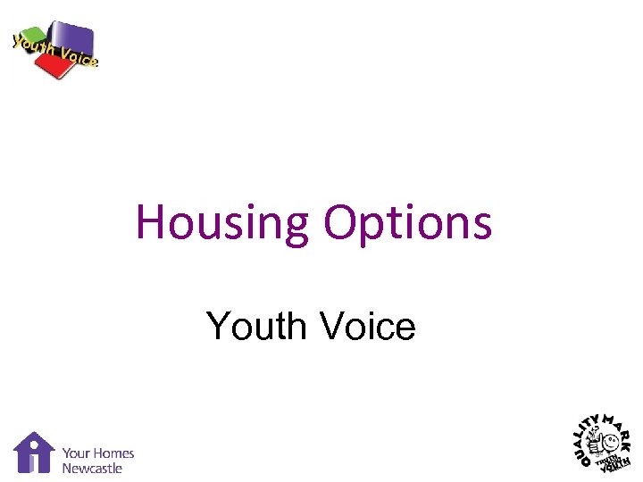 Housing Options Youth Voice 