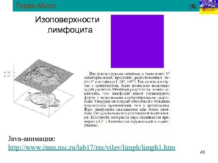 Topas-Micro (5) Изоповерхности лимфоцита Java анимация: http: //www. itam. nsc. ru/lab 17/res/vilev/limph 1. htm