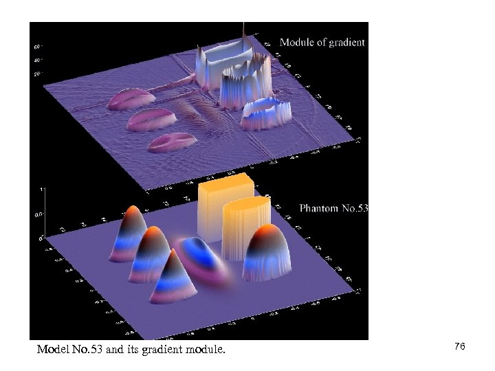  Model No. 53 and its gradient module. 76 