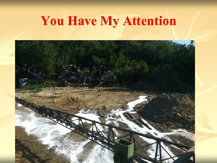 You Have My Attention 