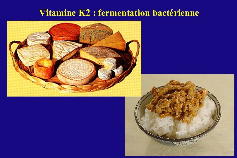 Vitamine K 2 : fermentation bactérienne 