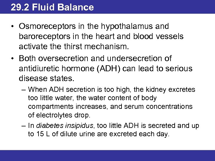 29. 2 Fluid Balance • Osmoreceptors in the hypothalamus and baroreceptors in the heart