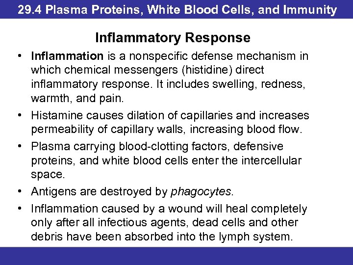 29. 4 Plasma Proteins, White Blood Cells, and Immunity Inflammatory Response • Inflammation is