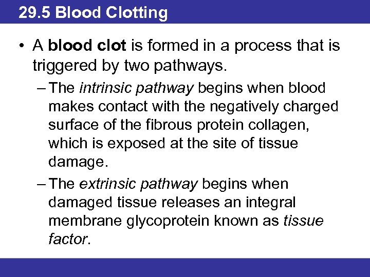 29. 5 Blood Clotting • A blood clot is formed in a process that