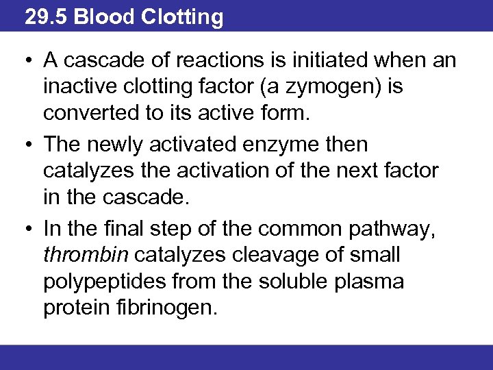 29. 5 Blood Clotting • A cascade of reactions is initiated when an inactive