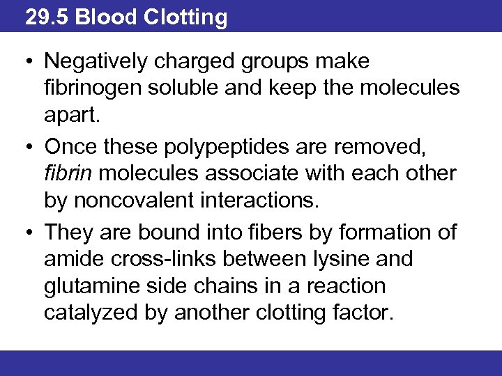 29. 5 Blood Clotting • Negatively charged groups make fibrinogen soluble and keep the
