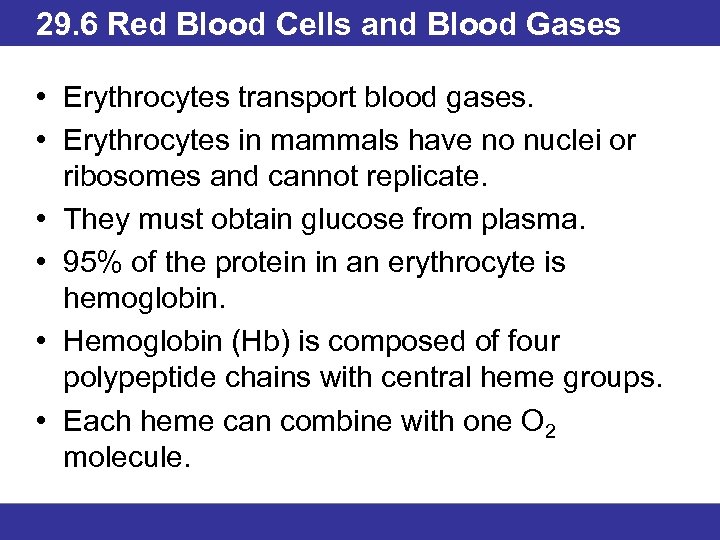 29. 6 Red Blood Cells and Blood Gases • Erythrocytes transport blood gases. •