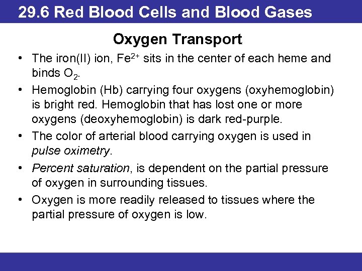 29. 6 Red Blood Cells and Blood Gases Oxygen Transport • The iron(II) ion,