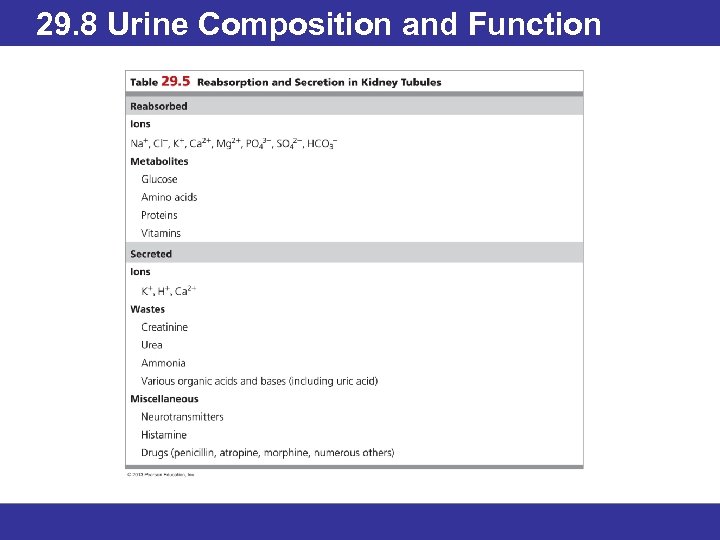 29. 8 Urine Composition and Function 