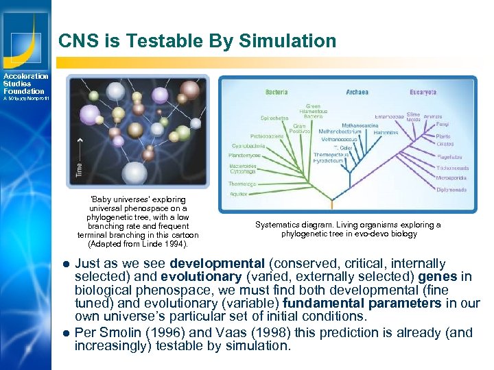 CNS is Testable By Simulation Acceleration Studies Foundation A 501(c)(3) Nonprofit ‘Baby universes’ exploring