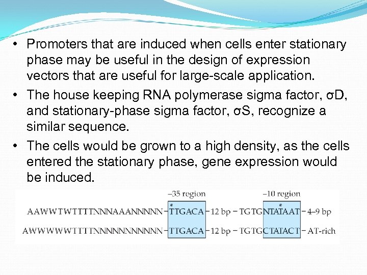  • Promoters that are induced when cells enter stationary phase may be useful