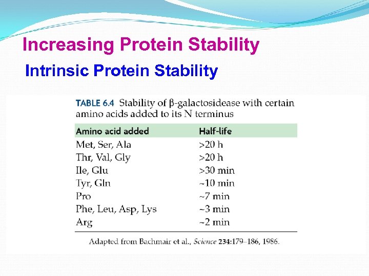 Increasing Protein Stability Intrinsic Protein Stability 