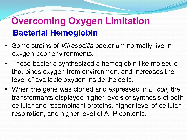Overcoming Oxygen Limitation Bacterial Hemoglobin • Some strains of Vitreoscilla bacterium normally live in
