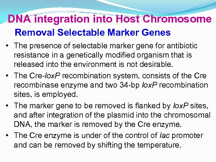 DNA integration into Host Chromosome Removal Selectable Marker Genes • The presence of selectable