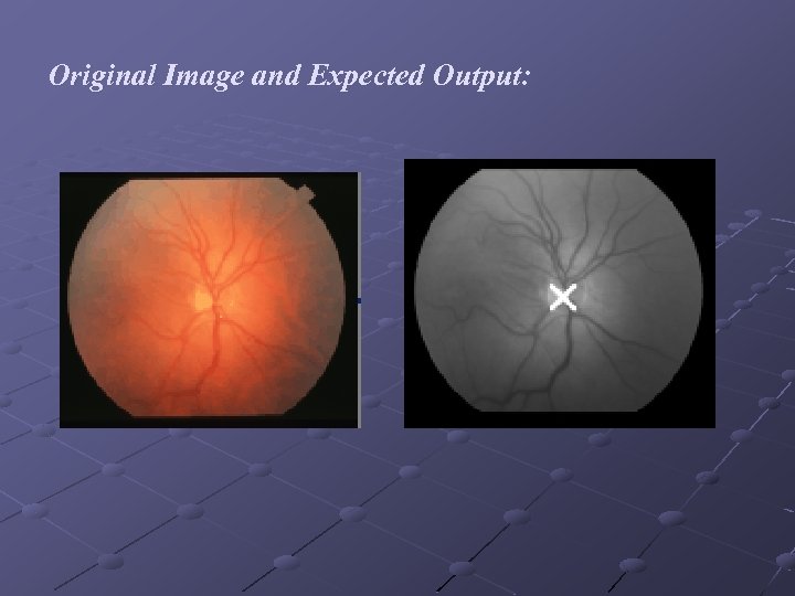 Original Image and Expected Output: 