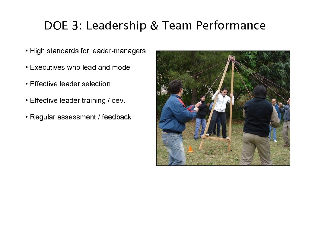 DOE 3: Leadership & Team Performance • High standards for leader-managers • Executives who