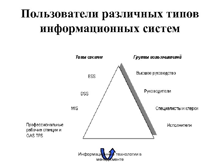 Пользователи различных типов информационных систем Информационные технологии в менеджменте 