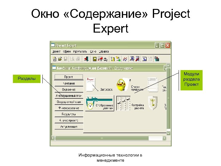 Окно «Содержание» Project Expert Модули раздела Проект Разделы Информационные технологии в менеджменте 