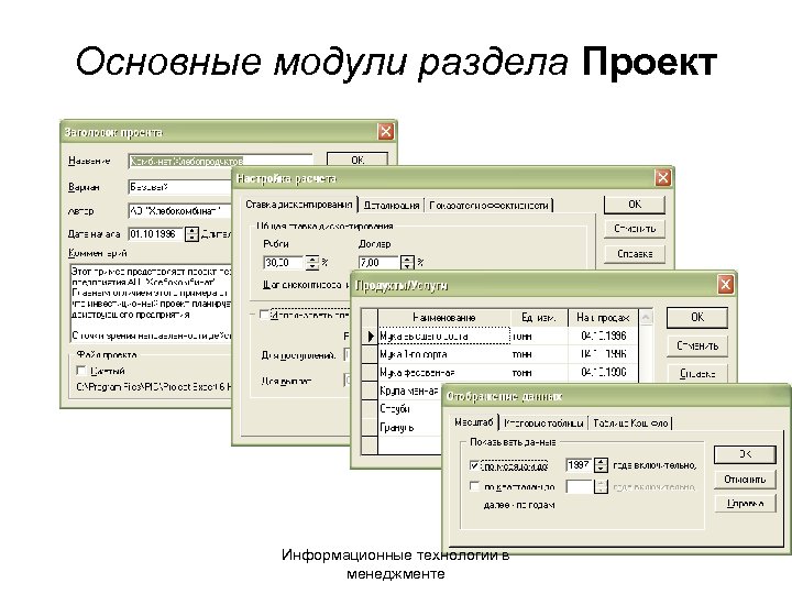 Основные модули раздела Проект Информационные технологии в менеджменте 