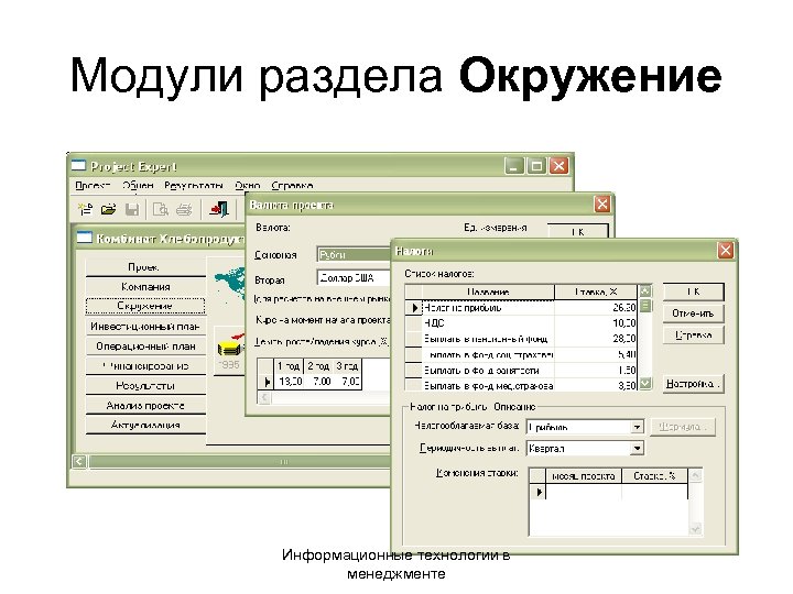 Модули раздела Окружение Информационные технологии в менеджменте 
