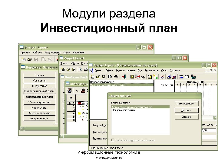 Модули раздела Инвестиционный план Информационные технологии в менеджменте 