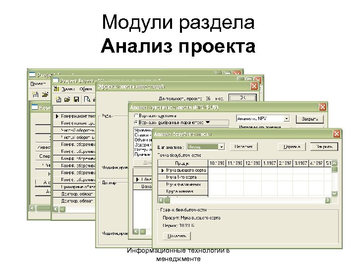 Модули раздела Анализ проекта Информационные технологии в менеджменте 
