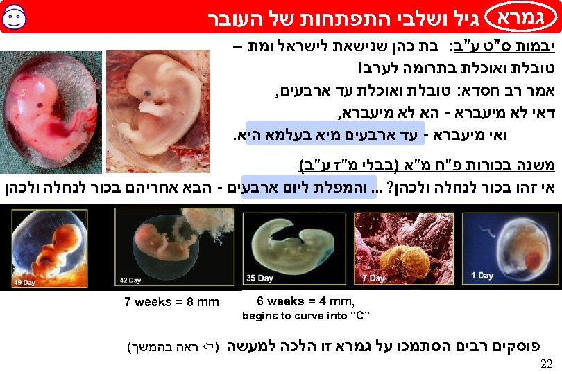  גמרא גיל ושלבי התפתחות של העובר יבמות ס"ט ע"ב: בת כהן שנישאת לישראל