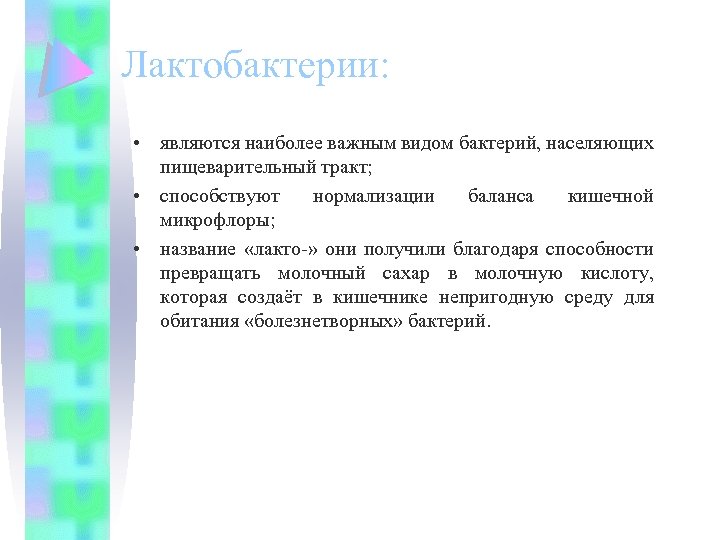 Лактобактерии: • являются наиболее важным видом бактерий, населяющих пищеварительный тракт; • способствуют нормализации баланса