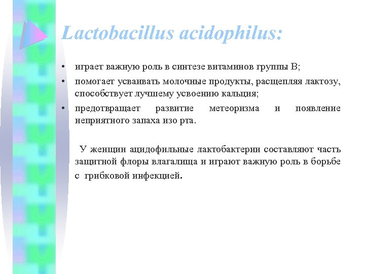 Lactobacillus acidophilus: • играет важную роль в синтезе витаминов группы В; • помогает усваивать